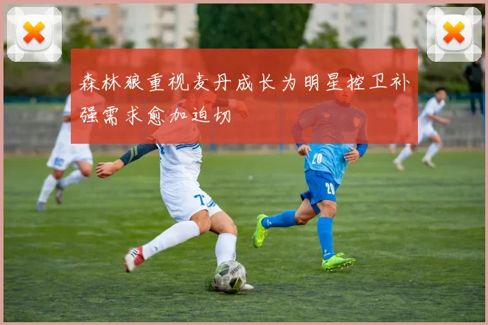 森林狼重视麦丹成长为明星控卫补强需求愈加迫切
